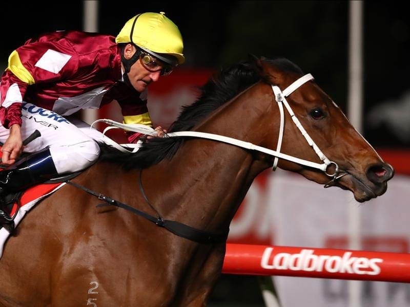 Sydney filly Meryl has won the Group Three Scarborough Stakes at the Valley. meryl