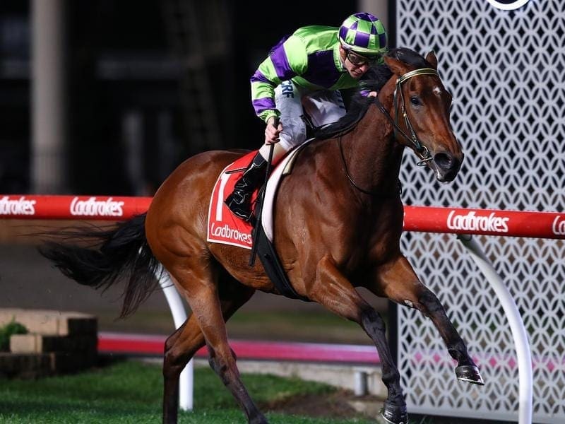 I Am A Star will step up to Group One races after her successful defence of the Stocks Stakes. i am a star