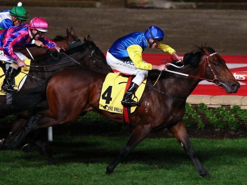 Leonardo Da Hinchi has taken a step to a Caulfield Guineas start with his win in the Stutt Stakes. leonardo