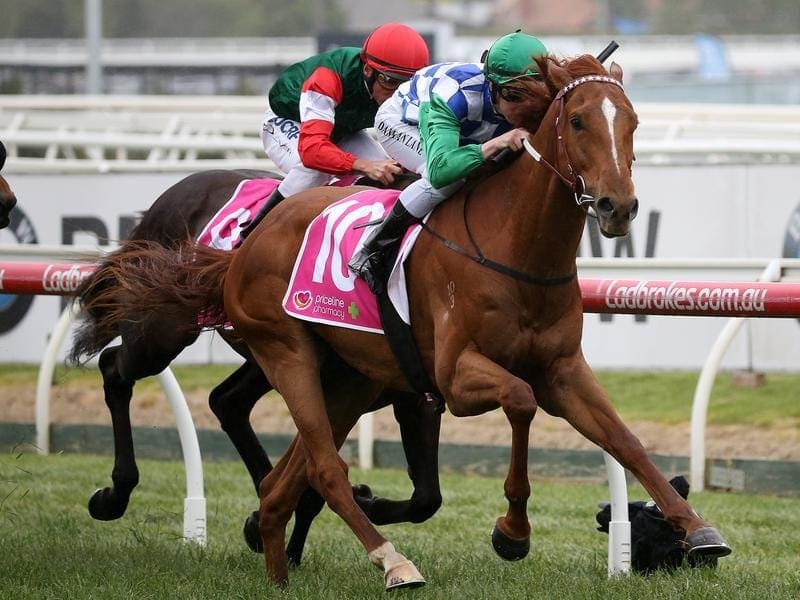 Kiwia has stormed home to win the Ballarat Cup. Kiwia