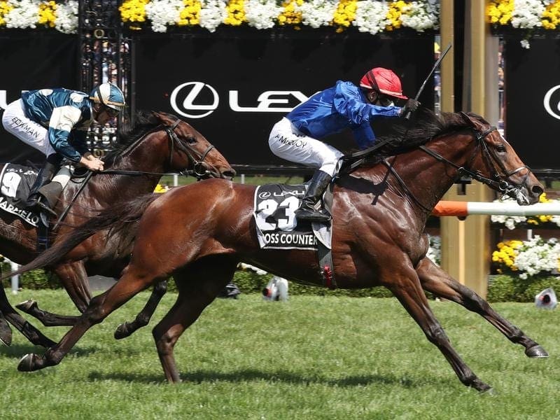 Cross Counter has given global stable Godolphin a history-making Melbourne Cup win at Flemington. Cross Counter wins the Melbourne Cup.