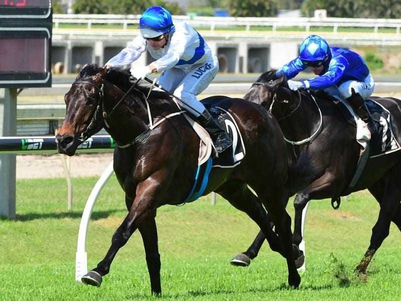 Brad Stewart rides Zoustyle to victory in race 5 at Doomben
