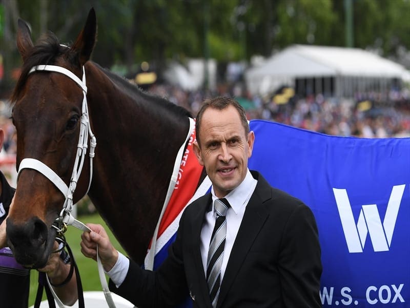 Trainer Chris Waller says there will be no decision on Winx's racing future until after Christmas. winx