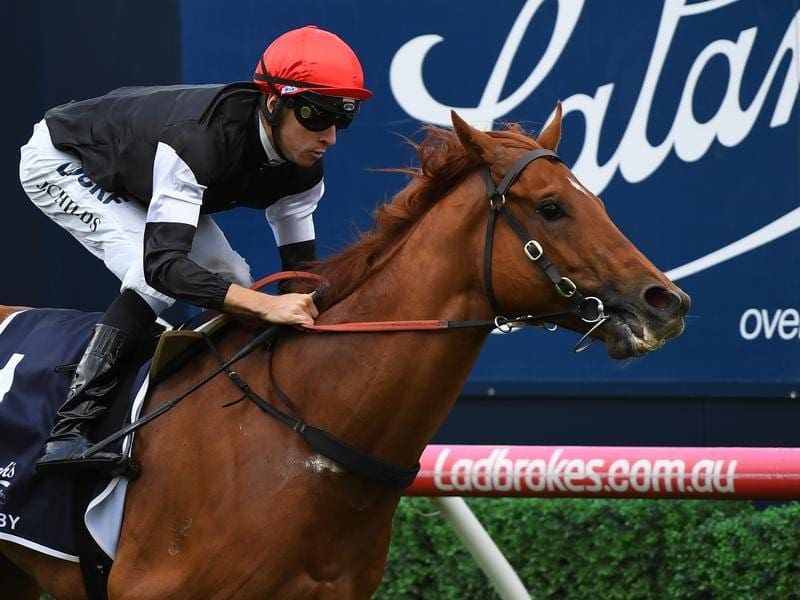 Written By is enjoying a break before his return to Graham Begg's stable to be prepared for autumn. written by