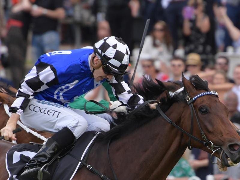 Our Century will be chasing his second win in as many starts this campaign for trainer Kim Waugh. Our Century.