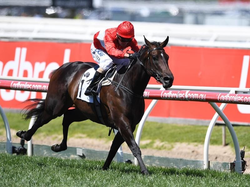 Invincible Star on road to Magic Millions | Betting Site