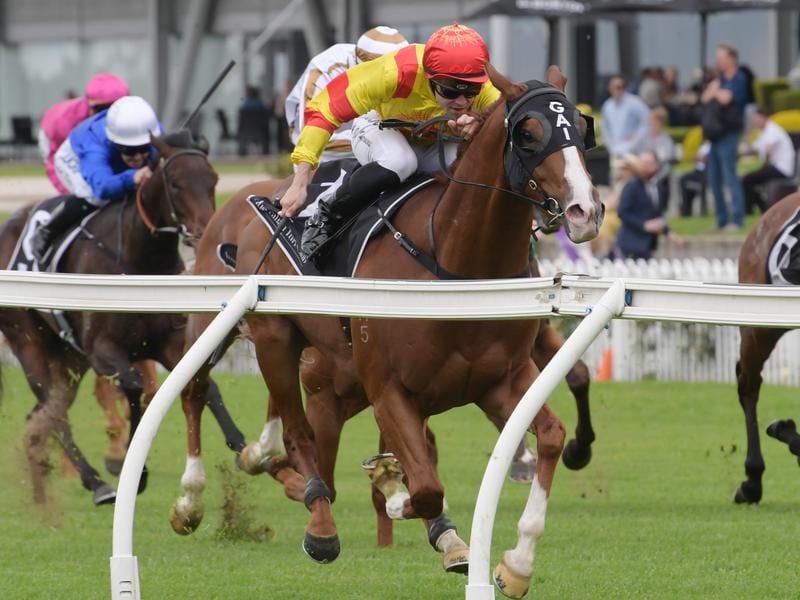 Adam Hyeroninmus rides Chess Star to victory in race 1 at Rosehill