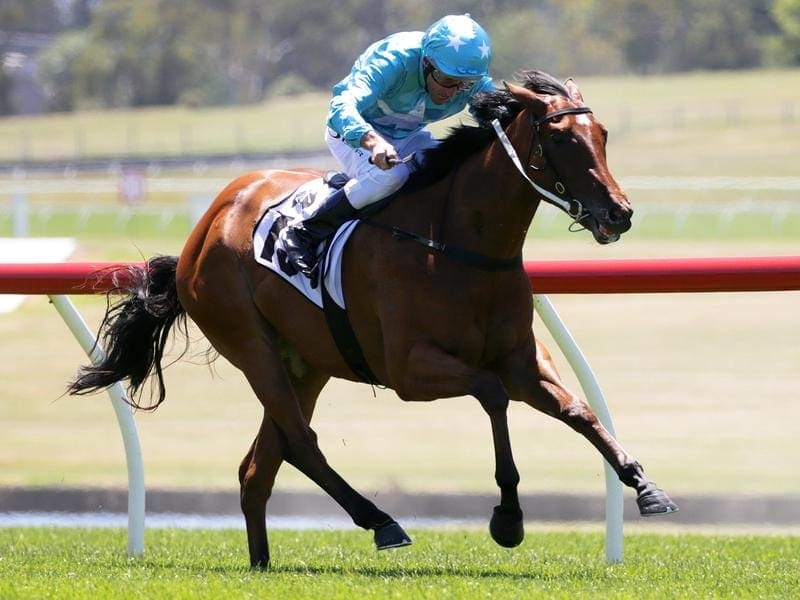 Steal My Kisses took over in the last 400m to beat Memphis Rock in the Listed Merson Cooper Stakes. Steal My Kisses