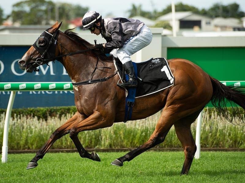 Top sprinter Houtzen has broken the Doomben 1050m record in winning the Listed Bribie Handicap. Houtzen.