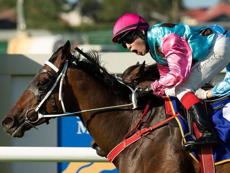 Sold For Song has claimed the Buffering Quality at Doomben, her first win for 2-1/2 years. sold for song