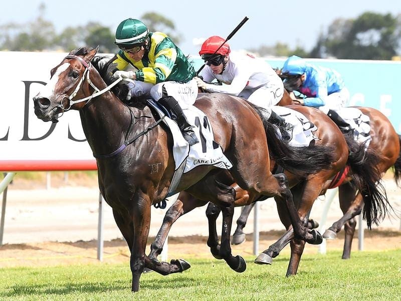 Care To Think is on target to defend the $1 million Magic Millions Cup at the Gold Coast. matt dunn