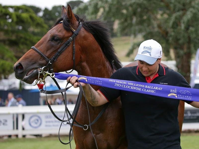 Ballarat Clockwise Classic winner Hawker Hurricane will miss the Magic Millions at the Gold Coast. hawker hurricane