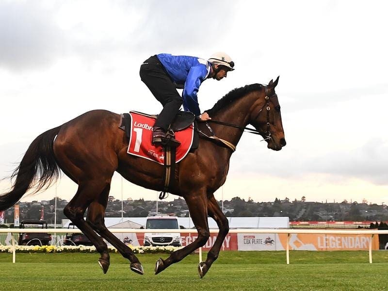 Plans are underway for a statue of champion Winx to take pride of place at Rosehill Racecourse. winx