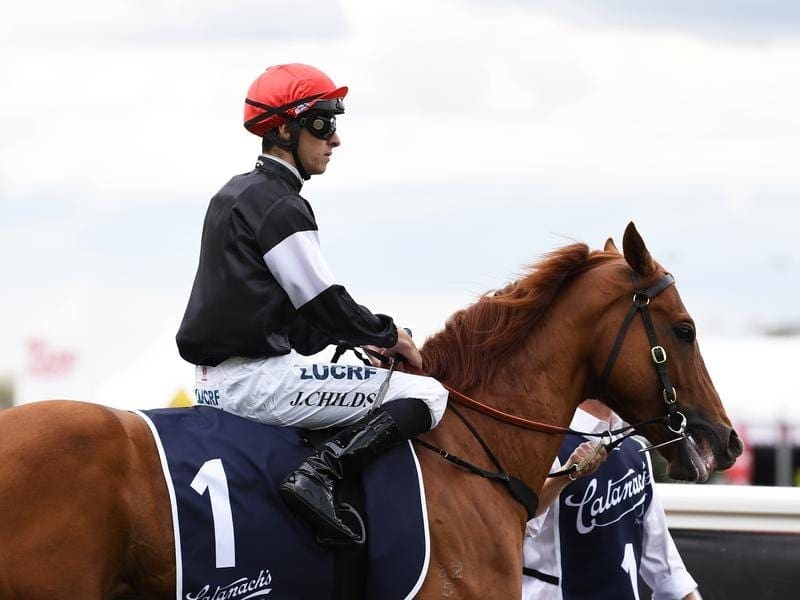 Grahame Begg will prepare star three-year-old sprinter Written By for the Oakleigh Plate. written by