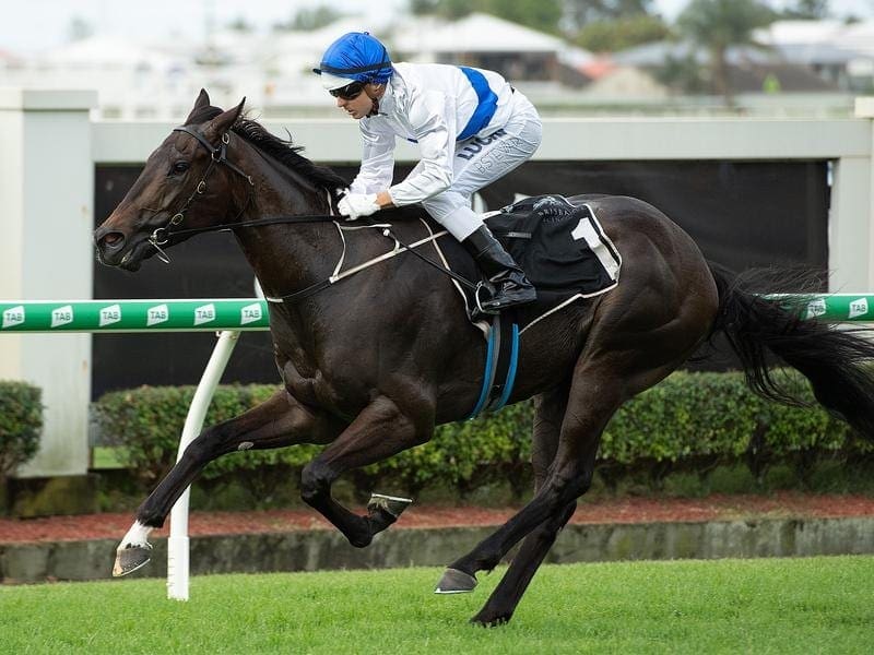 Unbeaten three-year-old Zoustyle will be spelled and not be set for a $500,000 summer bonus. zoustyle
