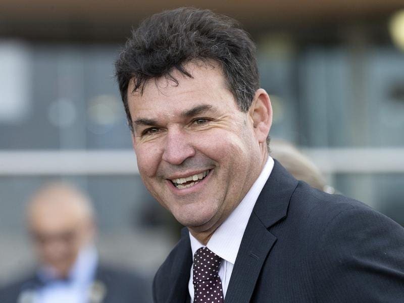 Trainer John Price is looking forward to All In Brawl's summer campaign starting at Pakenham. john price