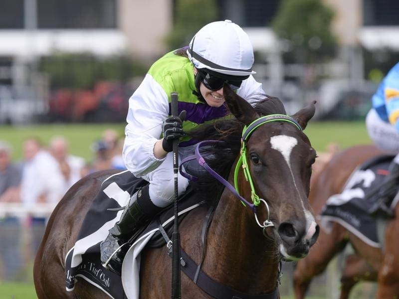 Jess Taylor rode Girls Are Ready to a two-length win over Sebrakate at Warwick Farm. Jess Taylor rides Girls Are Ready to victory in race 1 at Warwick Farm