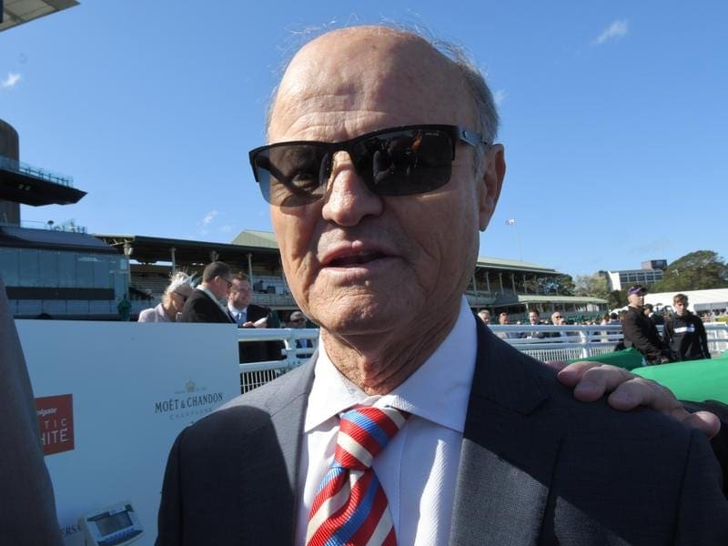 Trainer David Payne hopes to see encouraging signs from War Baron when the 2yo runs at Warwick Farm. war baron