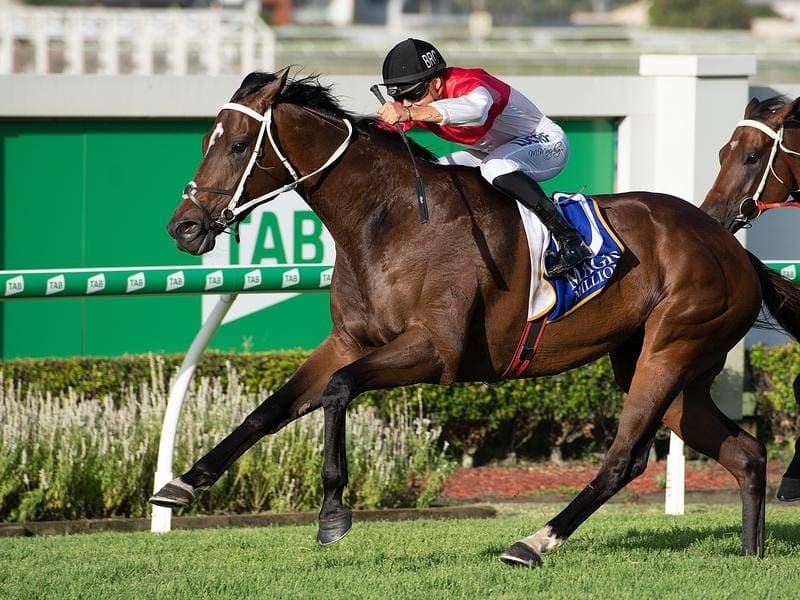 Bergerac is thriving on his racing and is set to back up for the third week in a row at Eagle Farm. bergerac