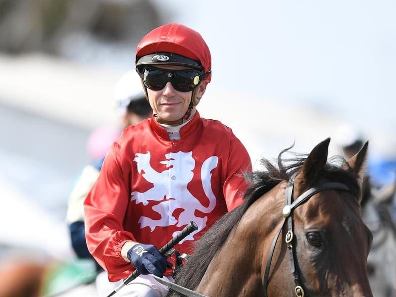 Stephen Baster will wear the Rosemont colours on True Excelsior in the G1 Telegraph in New Zealand. stephen baster