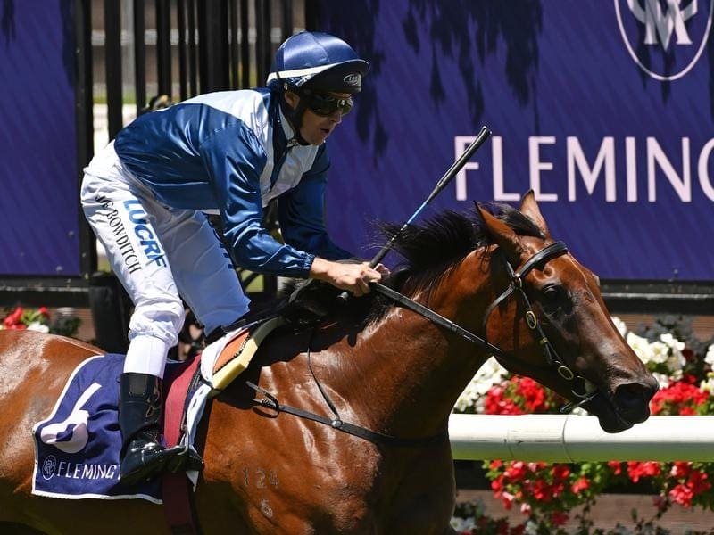 The Lloyd Kennewell-trained Jedastar will be among entries for the Blue Duamond Fillies Preview. jedastar