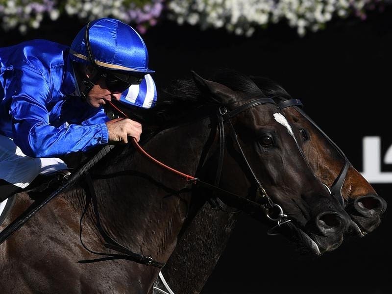 Godolphin stayer Avilius (front) is the early favourite for the Australian Cup. avilius