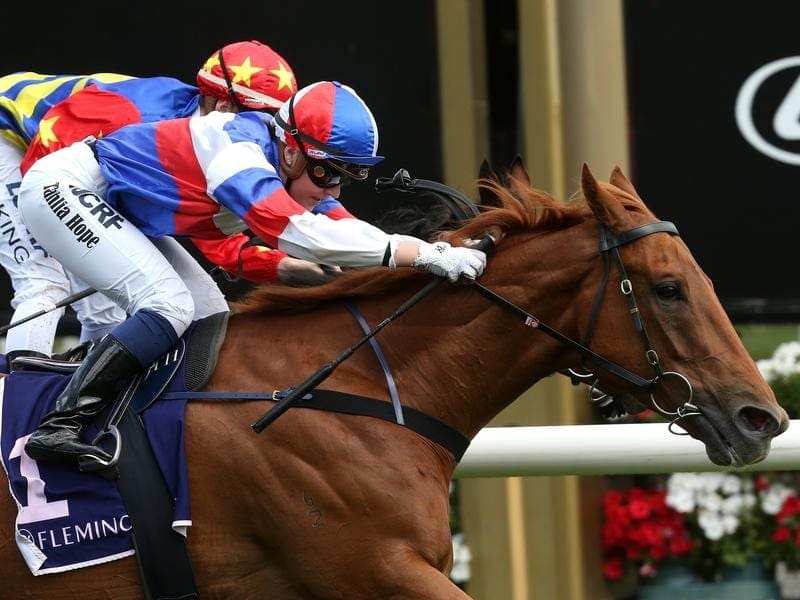 Chamois Road (front) will run in the Chester Manifold at Flemington as topweight. chamois road