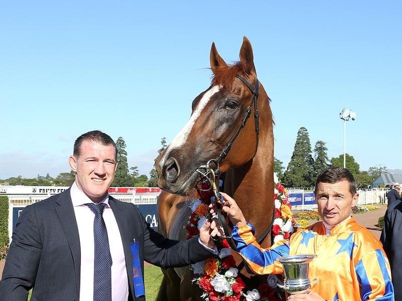Te Akau Shark, part-owned by Cronulla Sharks captain Paul Gallen (l) will miss the autumn. te akau shark