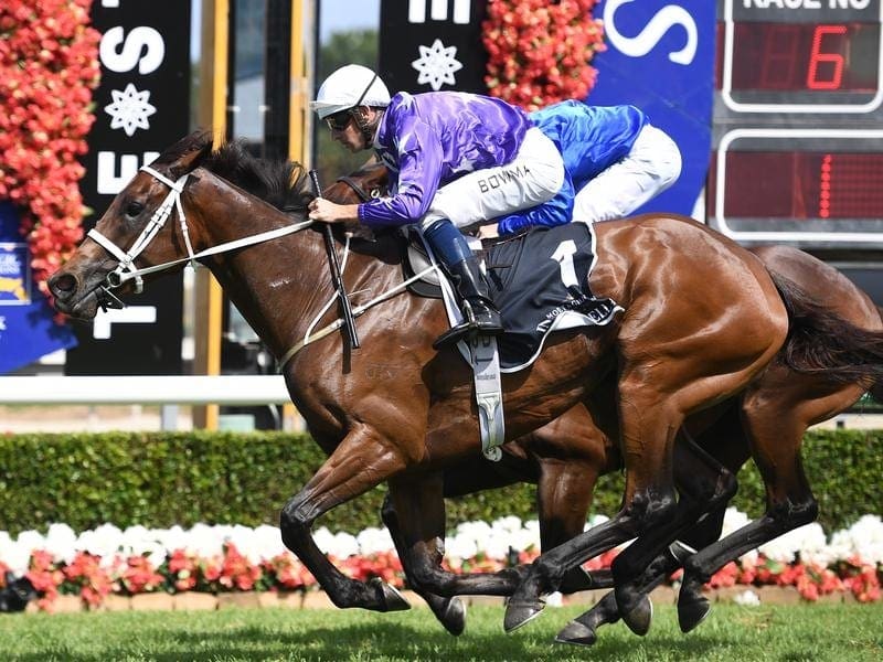 Class told when Invincibella won on the rich Magic Millions raceday for a second time. Invincibella.