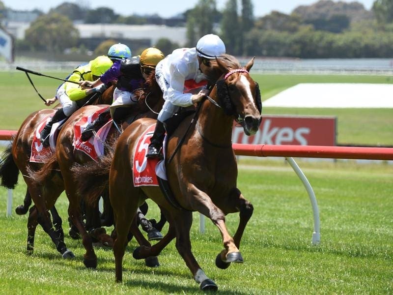 Ridgewood Drive has won at Sandown to stamp his potential as a Derby horse in the autumn. ridgewood drive at sandown