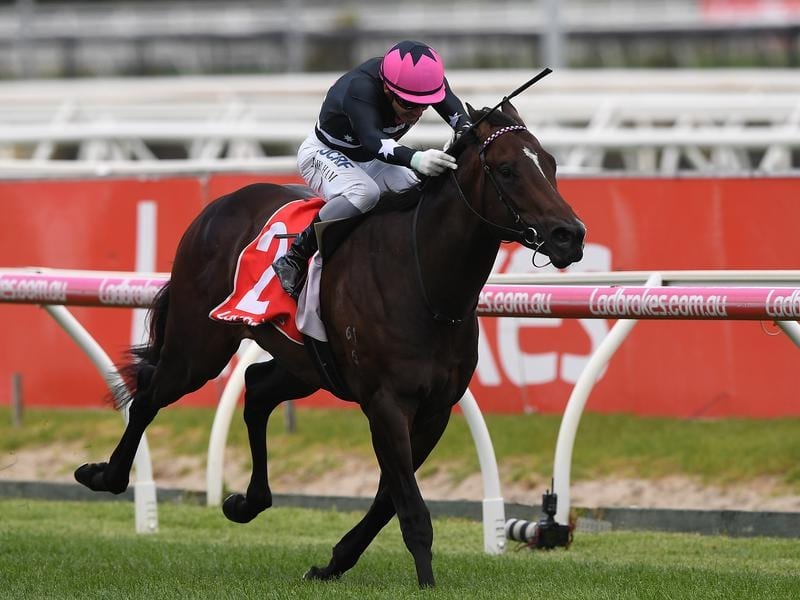 Key gear changes for Blue Diamond runners | Betting Site