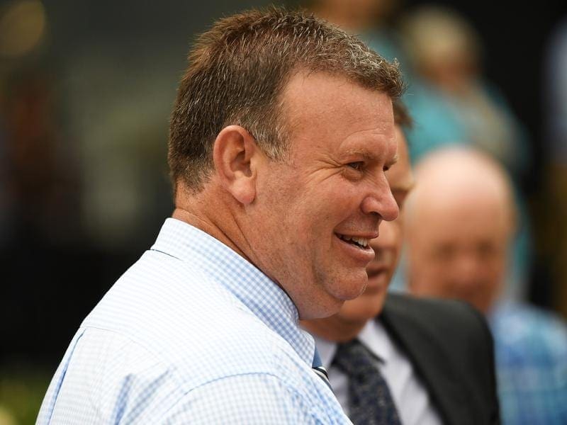 Trainer Dan McCarthy hopes Ashlor can make his way to the G1 Oakleigh Plate after the Adams Stakes. dan mccarthy