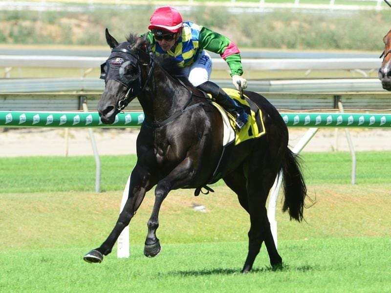 Trainer Stu Kendrick will stick with Matt McGillivray for Winter Passage rather than an apprentice. winter passage