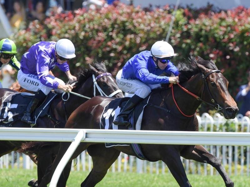 Godolphin filly Athiri has had a spin around Caulfield to prepare for her first start at the track. athiri