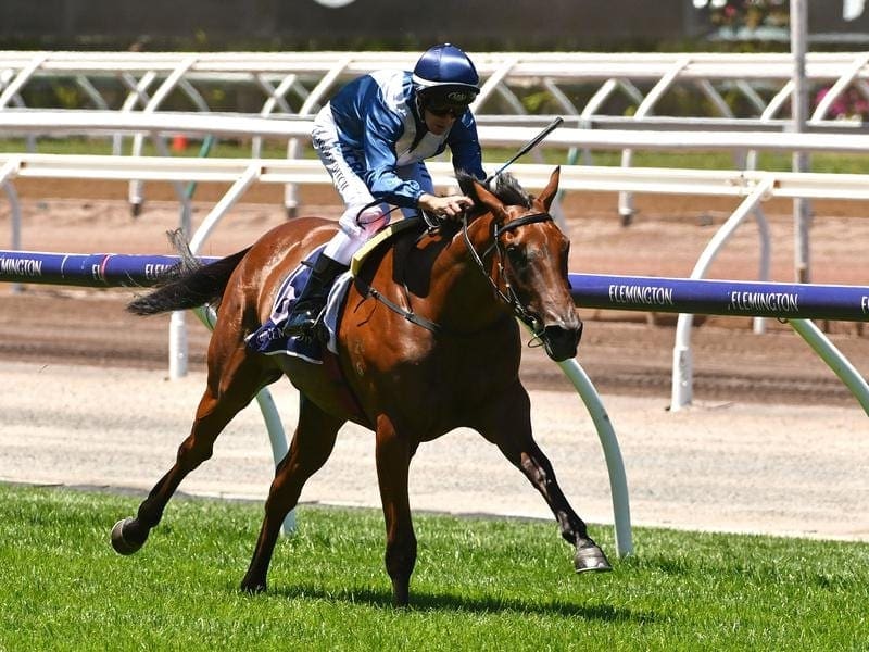 Flemington straight-course winner, 2yo Jedastar, will run in the G1 Lightning Stakes. jedastar
