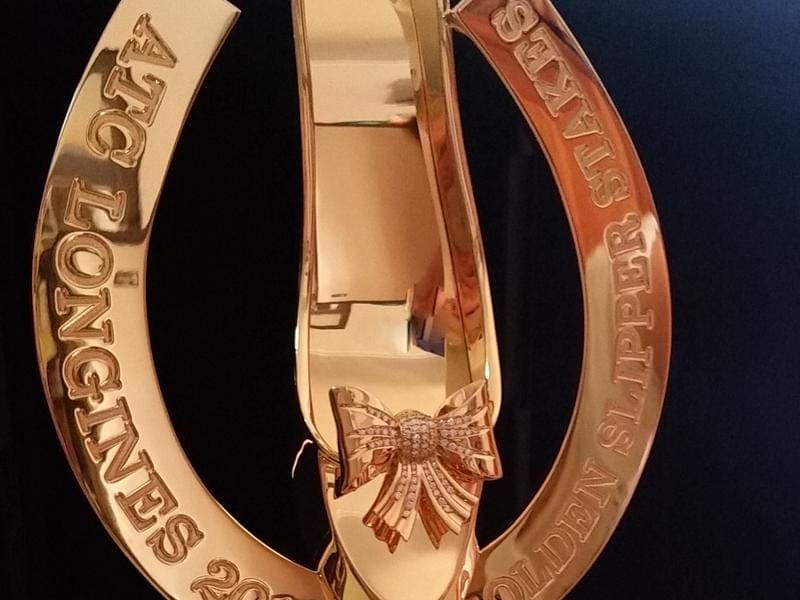The Golden Slipper in Sydney remains on the table for New Zealand 2yo filly Probabeel. golden slipper