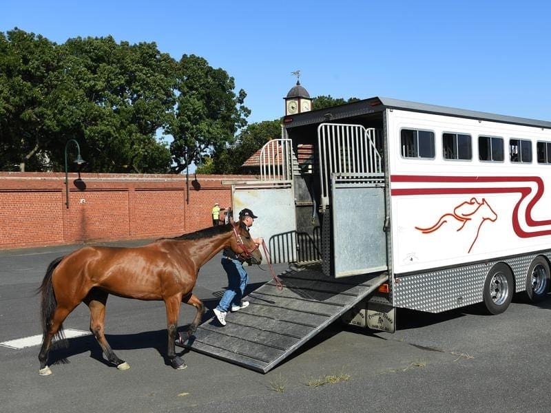 Darren Weir-trained horses have been sent home from Moonee Valley after being scratched by stewards. A Darren Weir horse being loaded onto a transporter.