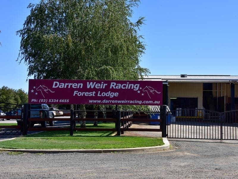Queensland racing officials will not take any immediate action over Darren Weir-trained horses. darren weir