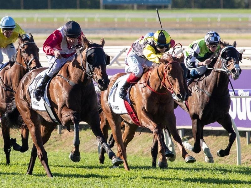 Railway Stakes runner-up Material Man (centre) will have his first Melbourne start in the G1 Orr. material man