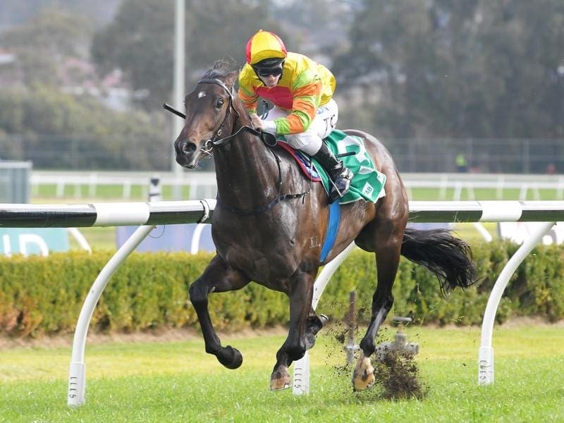 Co-trainer Adrian Bott is looking to Master Ash to step up in the Eskimo Stakes at Warwick Farm. master ash