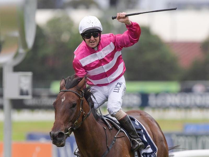 Ron Quinton has trained his fourth Coolmore Classic winner as Dixie Blossoms claimed the Group One. Dixie Blossoms.