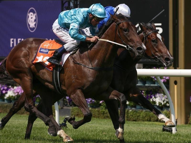 Ready Set Sail (outside) and Flit have shared the spoils with a dead-heat at Flemington. Flemington dead-heat.