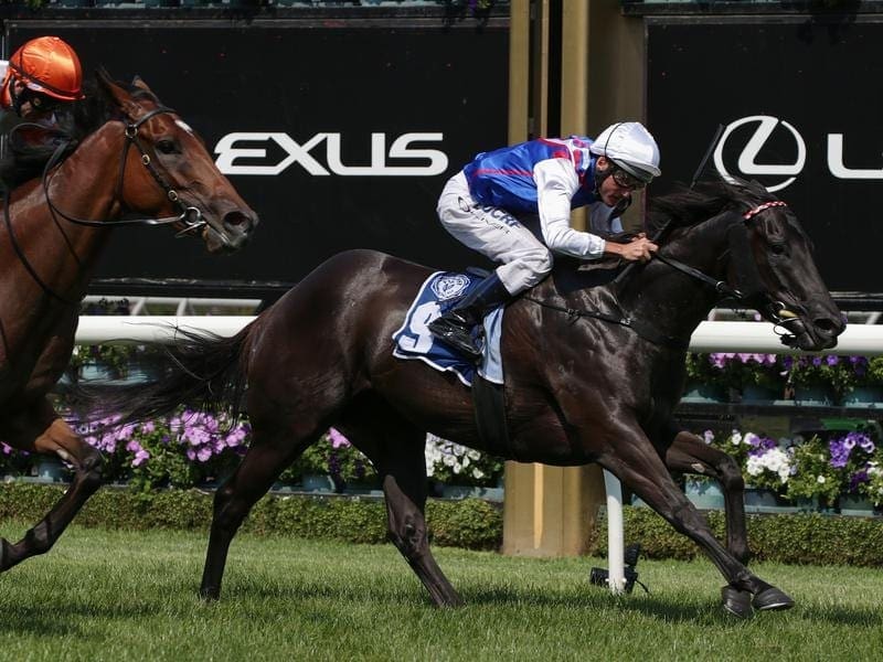 Causeway Girl is headed for The Championships in Sydney after a narrow win at Flemington. Causeway Girl.