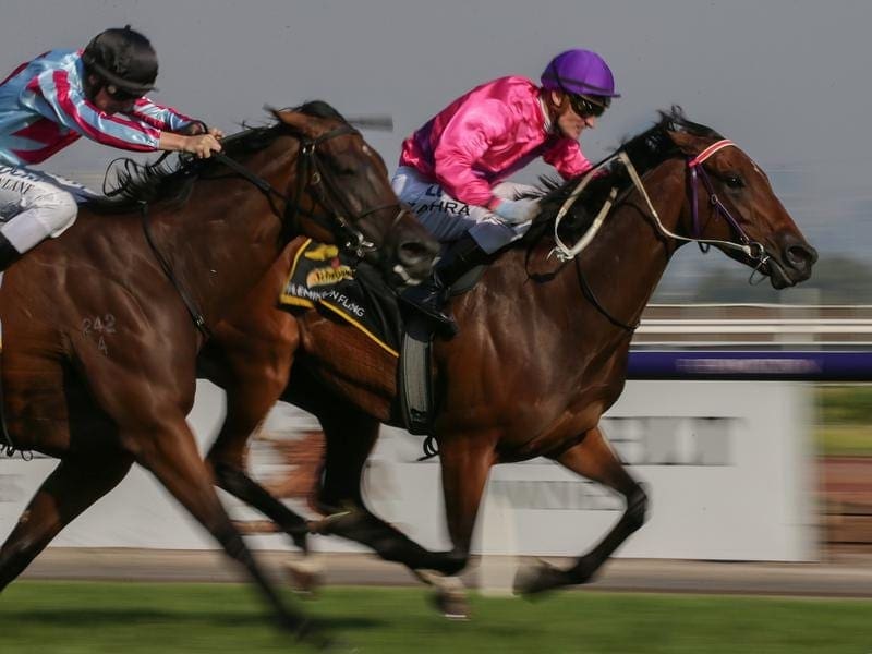 Spanish Reef takes the inside line to victory to defend the Schweppervescence Trophy at Flemington. Spanish Reef