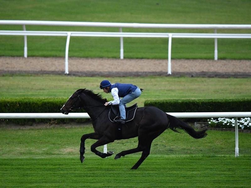 James McDonald has ridden European G2 winner Eminent in a work-out at Canterbury quarantine centre. eminent