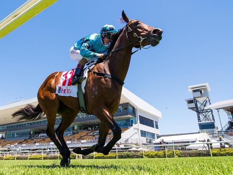 Trainer Tony Gollan is growing in confidence about Vincere Volare's Reisling Stakes mission. vincere volare