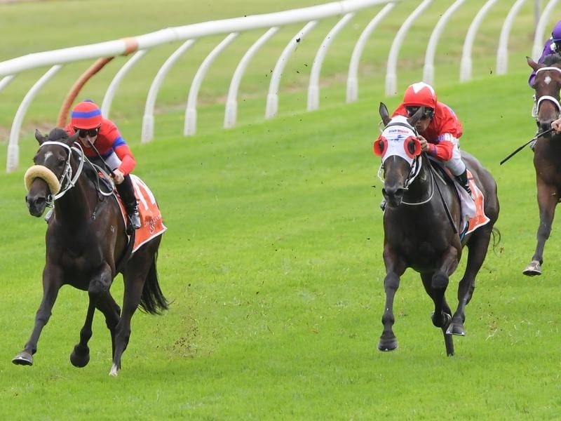 Verry Elleegant has taken out the Phar Lap Stakes at her second start for trainer Chris Waller. Verry Elleegant.
