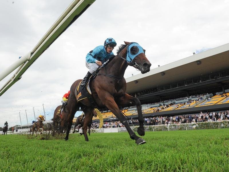 Bellevue Hill will back up in the ATC Sires' Produce Stakes after winning at Rosehill. Bellevue Hill.