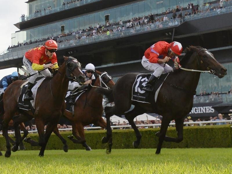 G1winner Seabrook (r) will race without blinkers as she takes on Verry Elleegant in the Vinery. seabrook