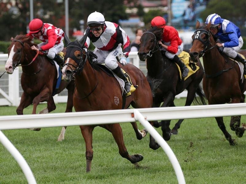 Halvorsen has delivered on a long-range plan to win the VOBIS Gold Dash at Caulfield. Halvorsen.